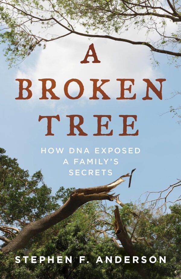 A Broken Tree by Stephen F. Anderson